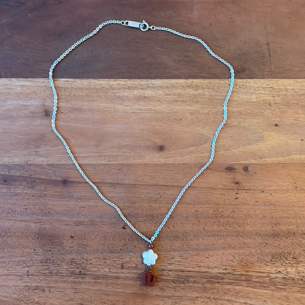 Turtle necklace